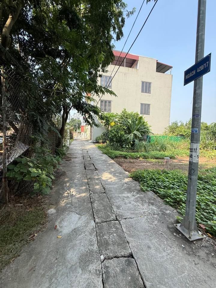 Đất lô góc Đặng Xá 40m² giá 3 tỷ - Đầu tư sinh lời ngay!