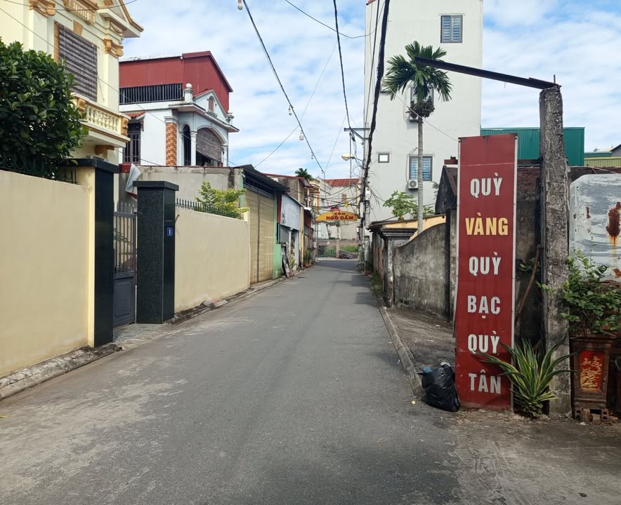 Đất mặt tiền đường Kiêu Kỵ, Gia Lâm 116m² giá 10 tỷ - Đầu tư sinh lời ngay!