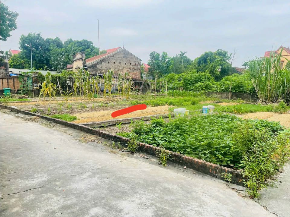 Đất nền Hưng Bình Giang 65m² giá 800 triệu - Đường ô tô vào tận nơi!