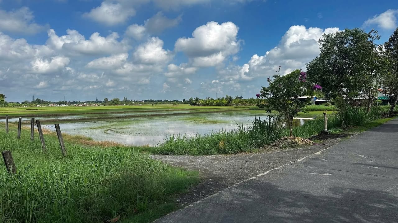 Đất nền 1.000m² đường Lê Minh Xuân, Bình Chánh - Giá chỉ 690 triệu