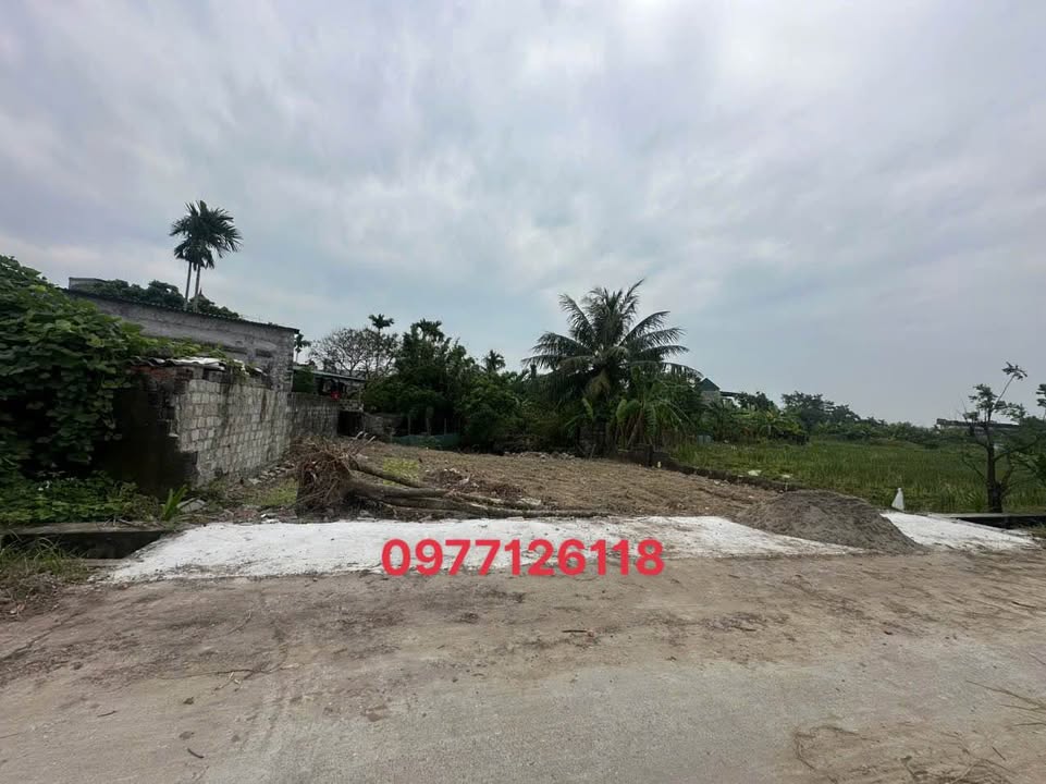 Đất nền Quỳnh Minh, Quỳnh Phụ 128m² - Đầu tư sinh lời ngay!