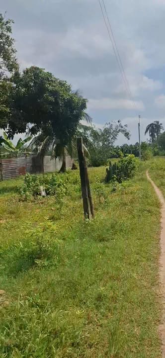 Đất thổ cư 200m² tại phường Gia Lộc, Tây Ninh 3000m² giá 2.7 tỷ - Cơ hội đầu tư lý tưởng!