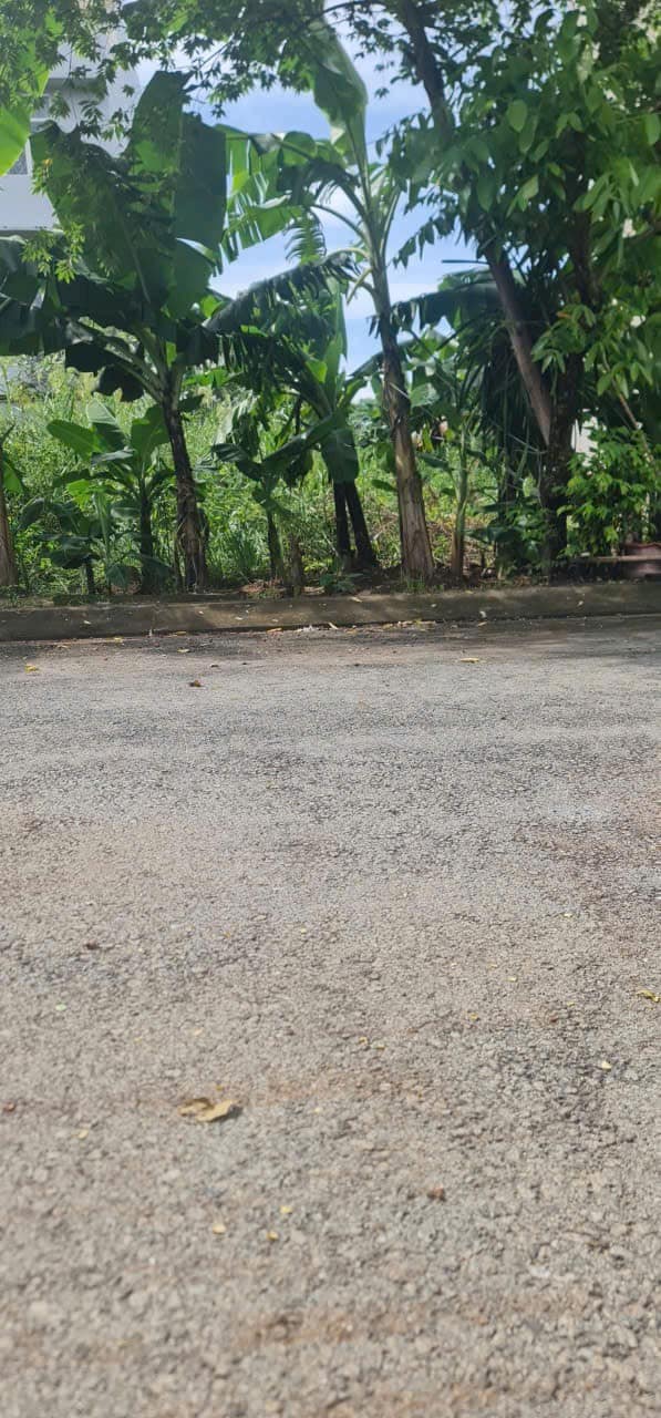 Đất nền khu dân cư Hoàng Anh Minh Tuấn, Phước Long B, 80m² giá 12.8 tỷ - Cơ hội đầu tư hấp dẫn!