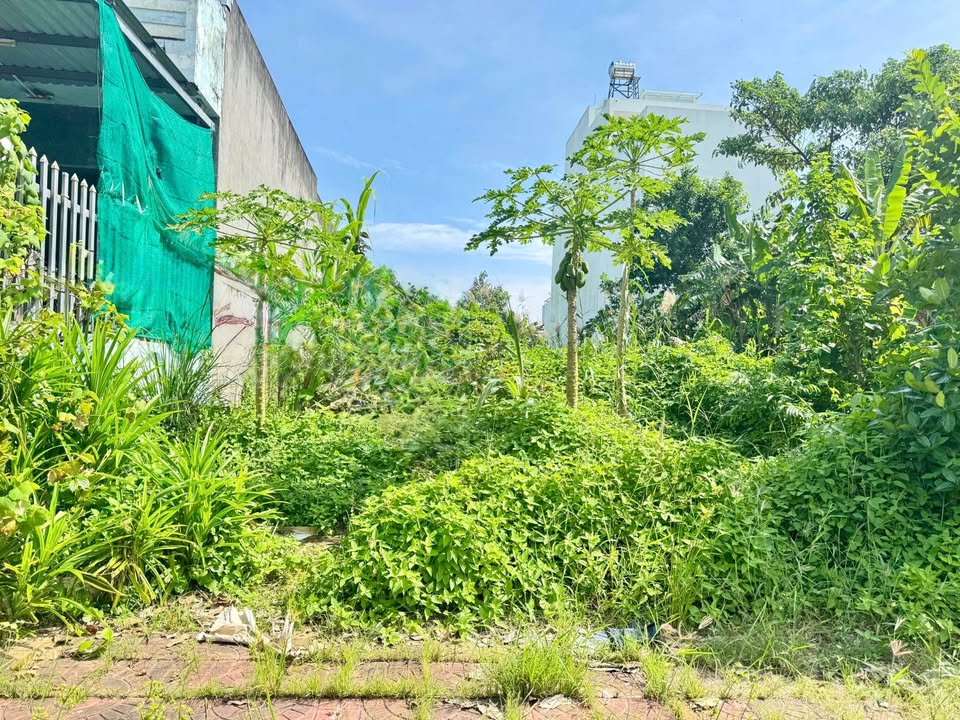 Đất nền thổ cư đường Thoại Ngọc Hầu, Tân Thành, Cà Mau 96m² chỉ 1.6 tỷ - Đầu tư sinh lời ngay!