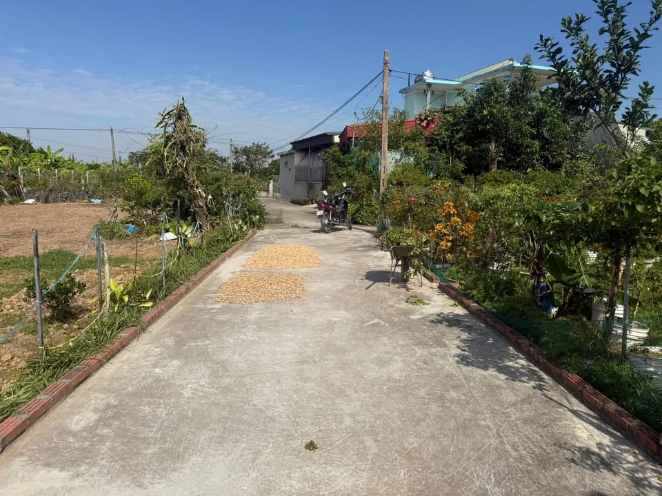 Đất nền Minh Lãng, Vũ Thư, Thái Bình 56m² - Đường ô tô vào tận nơi!