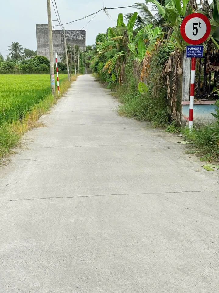 Đất xây nhà vườn 980m² tại xã Nhựt Chánh, Bến Lức - Giá chỉ 3.3 tỷ!