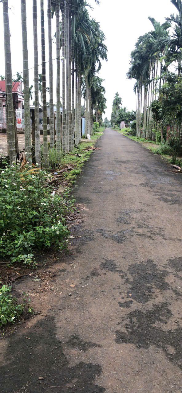 Đất vườn Tân An 600m² giá 2.5 tỷ - Cơ hội đầu tư tuyệt vời!