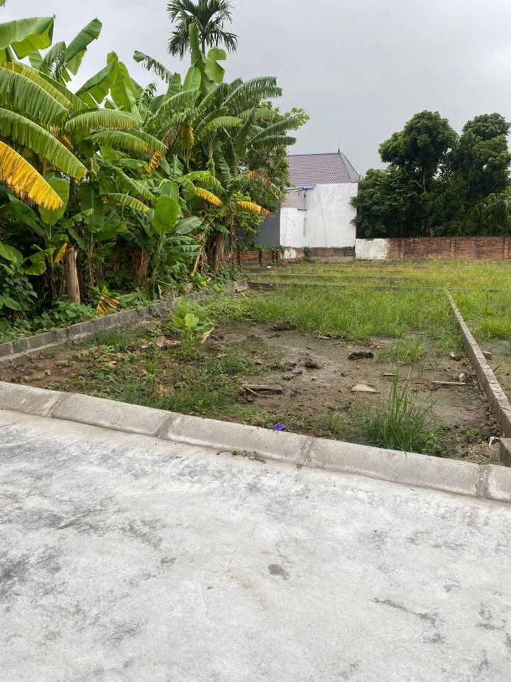 Đất nền Thái Sơn, An Lão 60,5m² giá chỉ 500 triệu - Đầu tư sinh lời ngay!