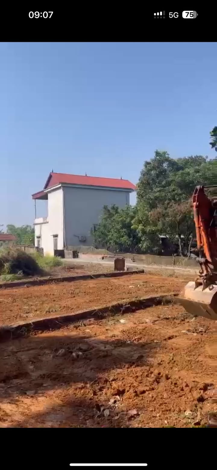 Đất thổ cư Tiên Phong, Mê Linh 100m² giá 900 triệu - Đầu tư sinh lời ngay!