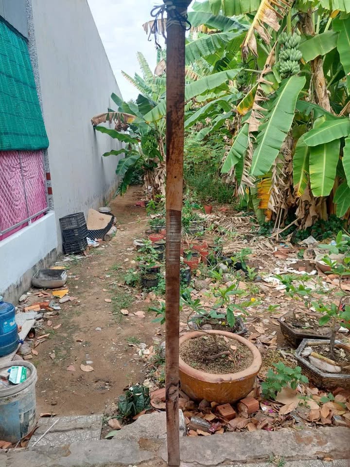 Đất nền Khu dân cư Láng Sen, Thạnh Quới, Cần Thơ 80m² giá 350 triệu - Nhanh tay sở hữu!