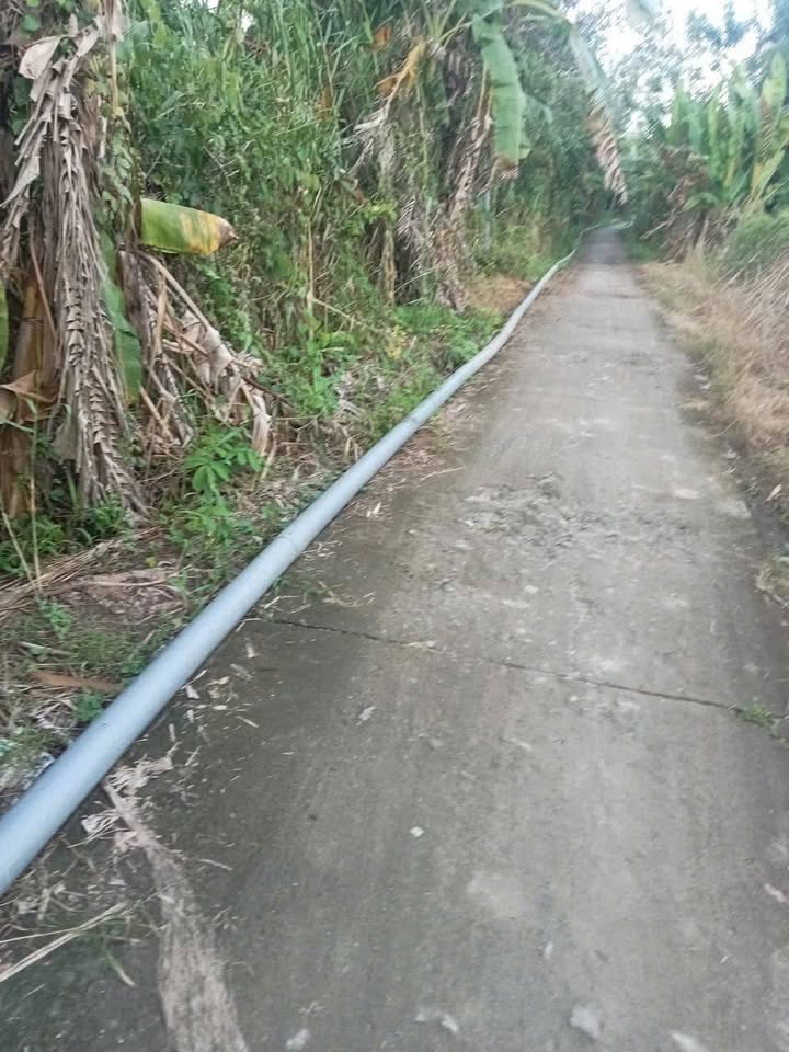 Đất nền 936m² tại Ba Láng, Cái Răng - Giá chỉ 1.6 tỷ, pháp lý sổ hồng!