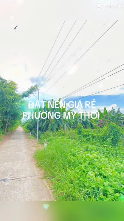 Đất nền mặt tiền lộ nhựa phường Mỹ Thới 2000m² giá 1.5 tỷ - Sổ hồng chính chủ sang tên ngay!