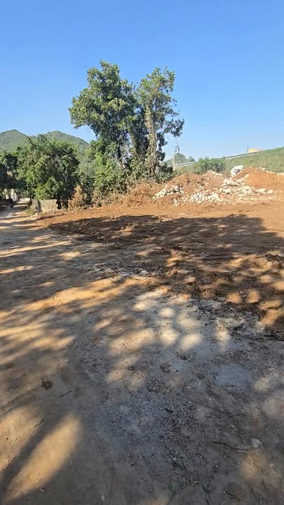 Đất nền Thanh Nghị, Thanh Liêm 250m² giá chỉ 6xx triệu - Cơ hội đầu tư hấp dẫn!