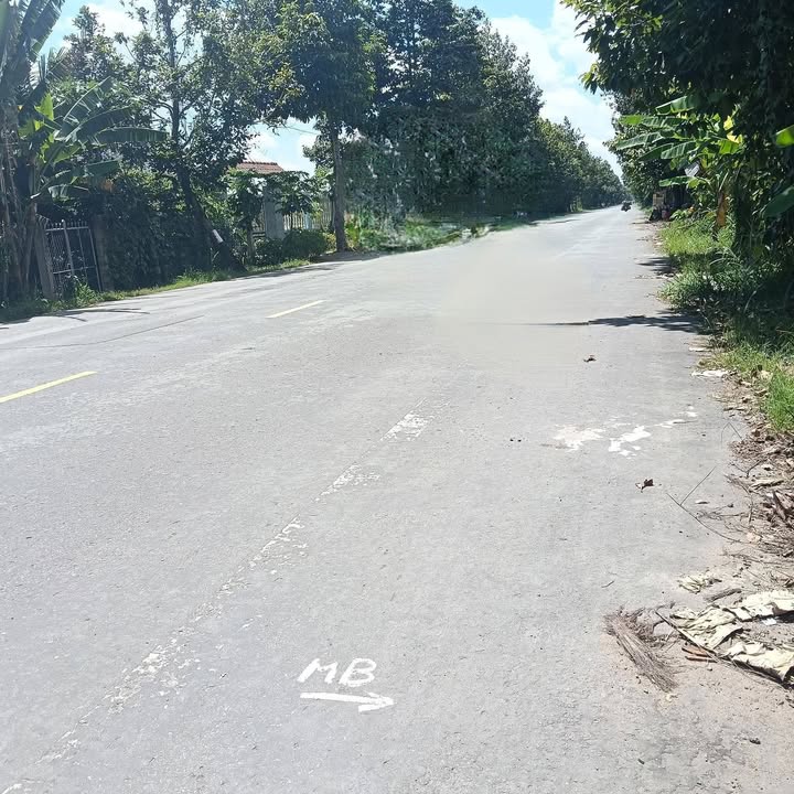 Đất mặt tiền đường Trương Vĩnh Trọng, Giồng Trôm, Bến Tre 10.000m² giá chỉ 820 triệu - Cơ hội đầu tư tuyệt vời!