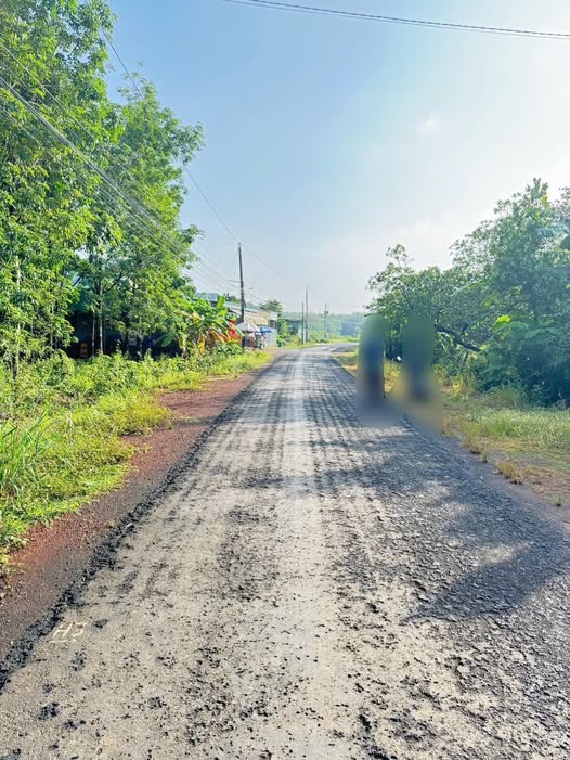 Đất nền Tân Phước, Đồng Phú 1300m² giá chỉ 900 triệu - Cơ hội đầu tư sinh lời!