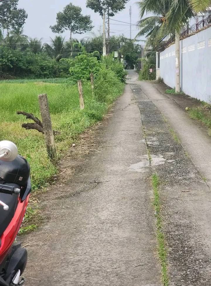 Đất nền thổ cư 100% tại Mỹ Phong 100m² giá 850 triệu - Cơ hội đầu tư hấp dẫn!