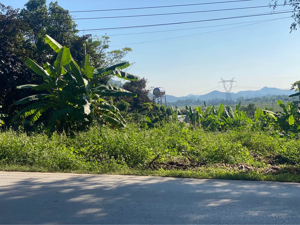 Đất thổ cư 198m² tại Hợp Thắng Triệu Sơn giá chỉ 1 tỷ - Đầu tư ngay!