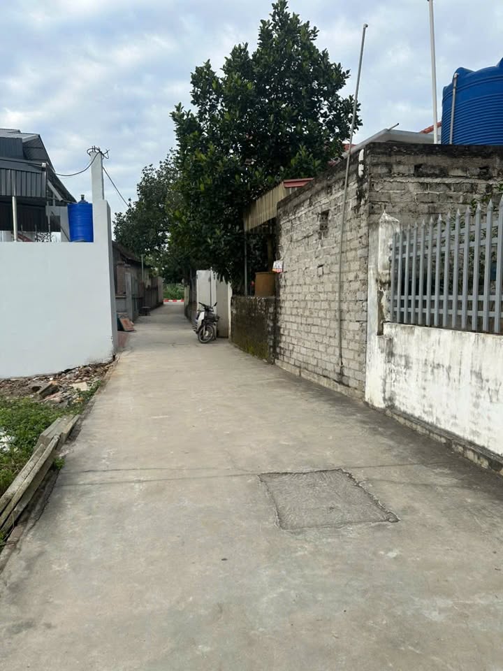 Đất nền Tự Nhiên Thường Tín 40,5m² giá 2 tỷ - Phong thủy tốt, đầu tư sinh lời!