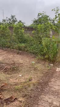 Đất vườn 204m² tại Phúc Đức, Sài Sơn chỉ 700 triệu - Sổ đỏ chính chủ!