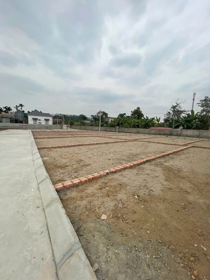 Đất nền Bạch Đằng - 60m² chỉ 435 triệu - Cơ hội đầu tư sinh lời!