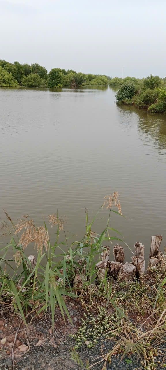 Đất nền Thạnh Hải, Thạnh Phú 40.000m² - Cơ hội đầu tư tuyệt vời!