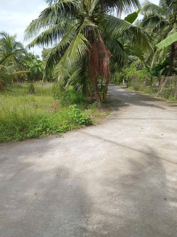 Đất mặt tiền đường Vườn Tiêu, Sơn Đông 1500m² giá 4.5 tỷ - Đầu tư sinh lời cao!