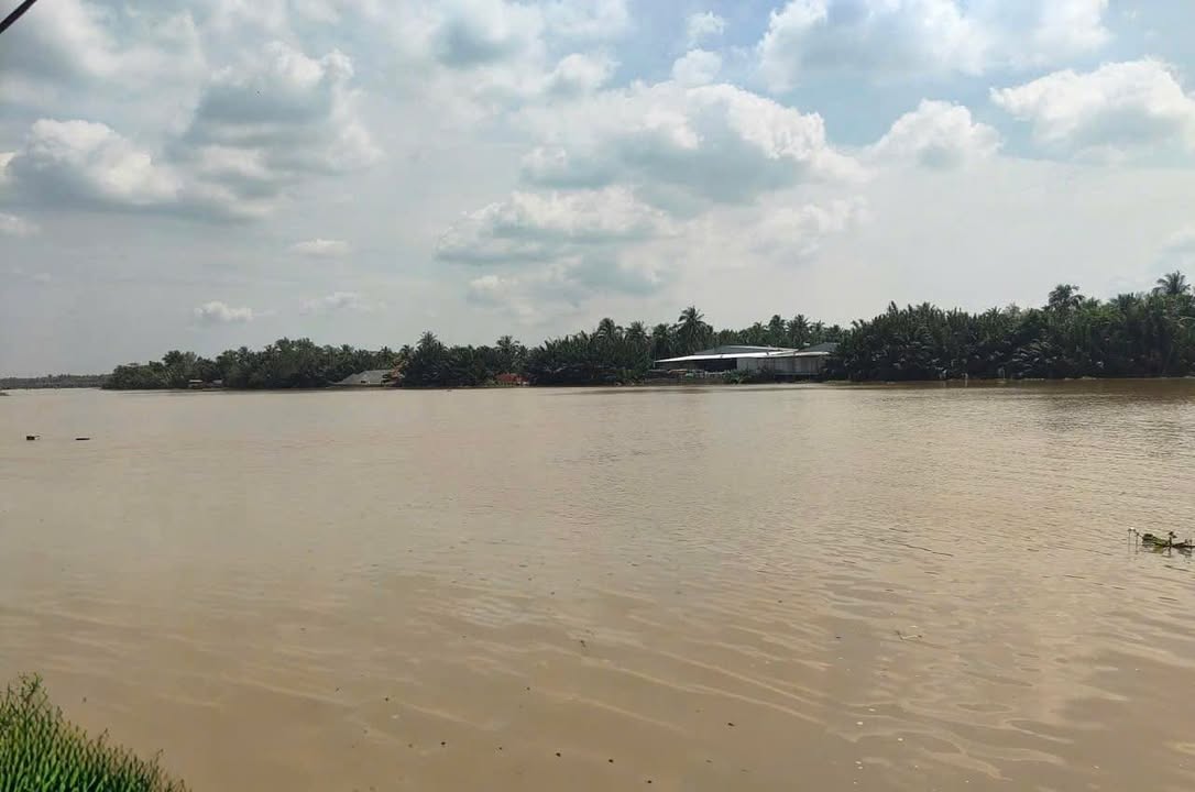 Đất 2 mặt tiền TL 885, Giồng Trôm 3619m² giá 13 tỷ - Cơ hội đầu tư vàng!