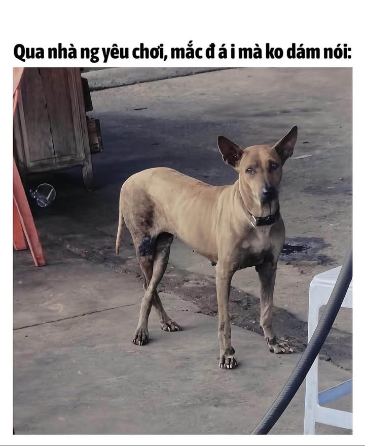 Đất TDC Phú Mỹ Thủ Dầu Một 520m² giá 3 tỷ - Cơ hội đầu tư tuyệt vời!