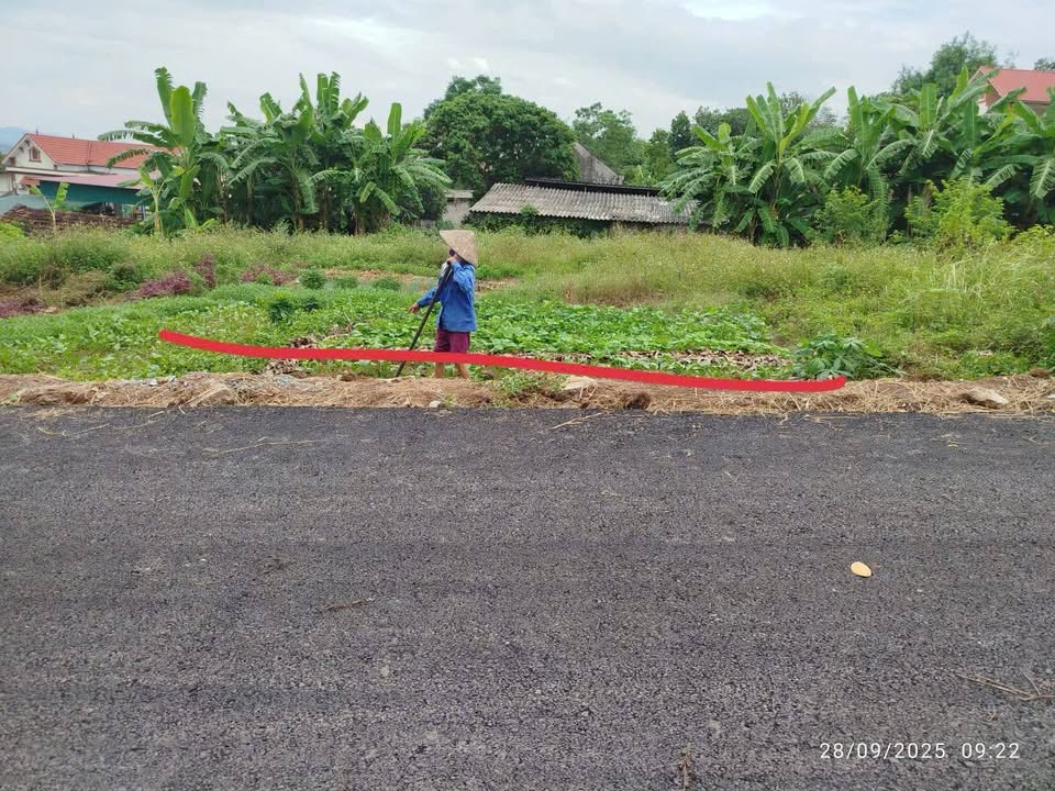 Đất nền Tòng Bạt Ba Vì 234m² giá chỉ 1 tỷ - Cơ hội đầu tư không thể bỏ lỡ!