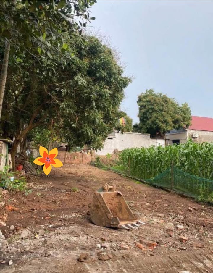 Đất nền Phúc Lộc, Phúc Thọ 114m² giá chỉ 2x triệu - Sổ đỏ chính chủ sẵn sàng!