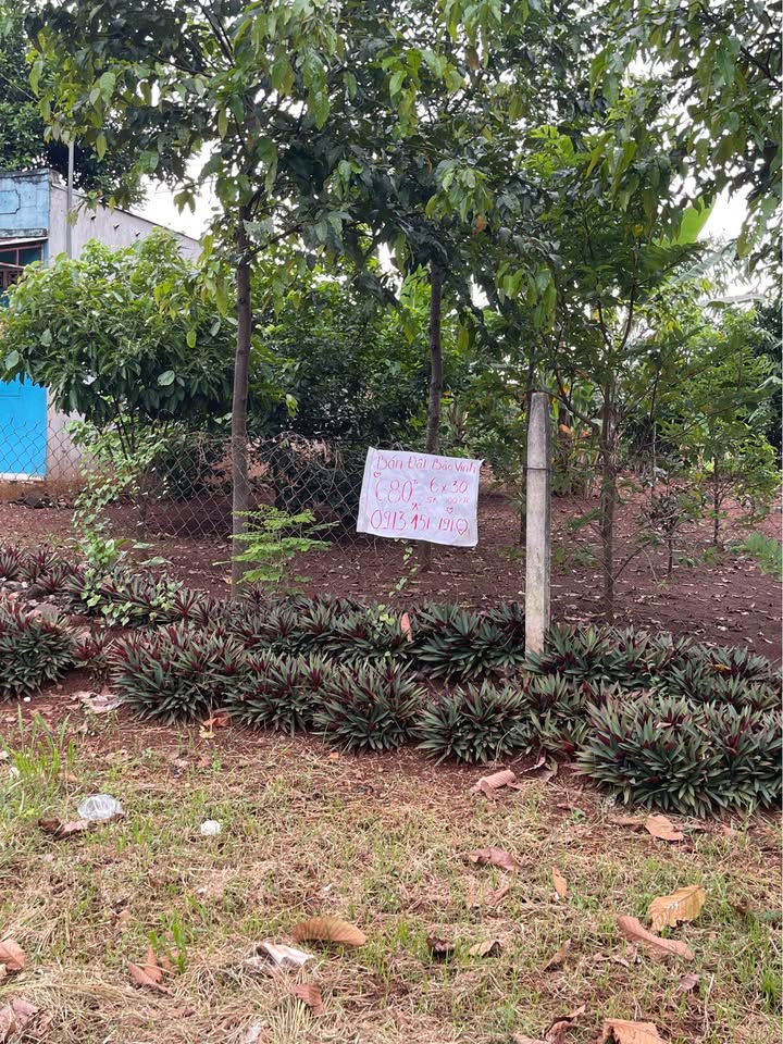 Đất nền Bảo Vinh, Long Khánh 180m² giá 680 triệu - Cơ hội đầu tư hiếm có!