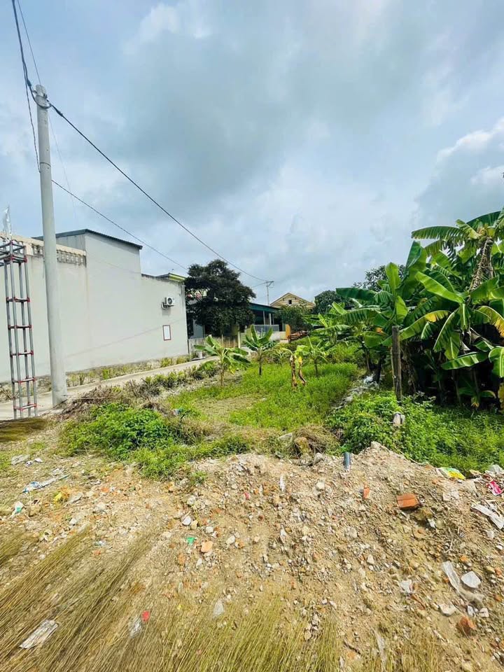 Đất nền 165m² tại Đông Vinh, Thanh Hóa chỉ 1.6 tỷ - Cơ hội đầu tư hấp dẫn!