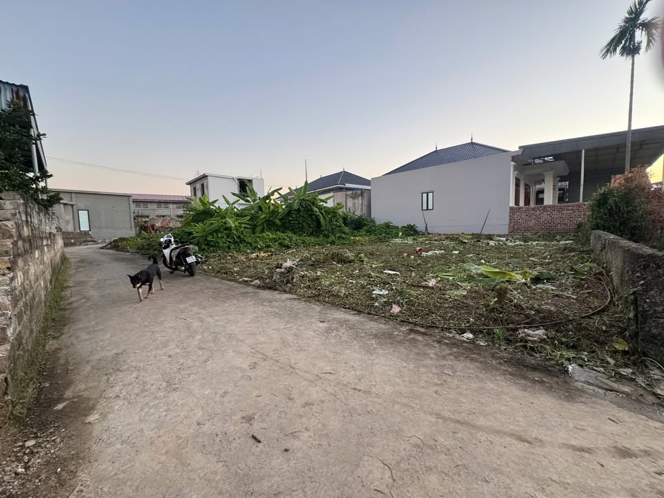 Đất nền phường Lê Ích Mộc, 95m² giá 1.1 tỷ - Vị trí trung tâm thuận tiện!