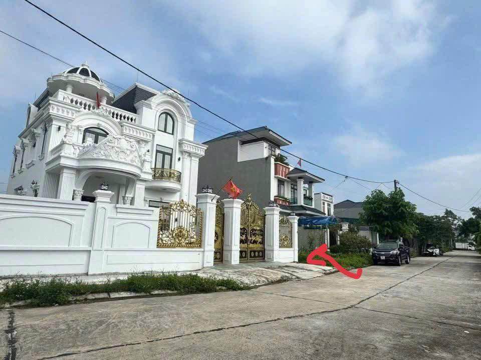 Đất nền chính chủ tại Bình Xuyên 100m² giá 3 tỷ - View vườn hoa tuyệt đẹp!