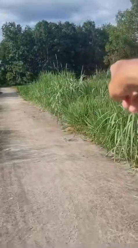 Đất thổ cư 384m² tại xã Bắc Ruộng, Lâm Đồng - Giá chỉ 520 triệu!