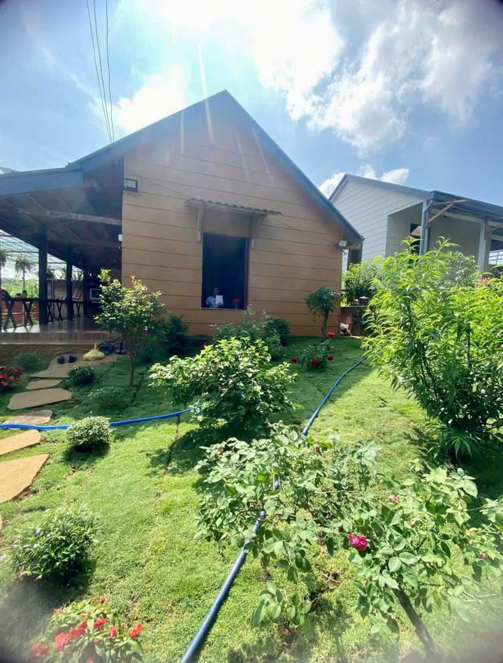 Nhà cho thuê Hẻm 109 Nguyễn Tri Phương, Lộc Tiến 200m² - Full nội thất, giá 5 triệu