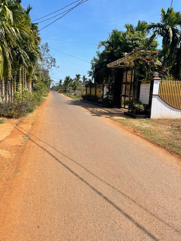 Đất mặt tiền hẻm 61 Nguyễn Thái Bình, Buôn Ma Thuột 110m² giá 1.7 tỷ - Đường nhựa rộng, ô tô tránh nhau thoải mái!