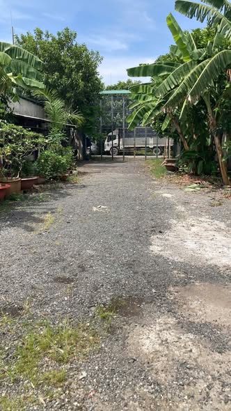 Bán đất mặt tiền Xuân Thới Sơn 1.500m² giá chỉ 14 tỷ - Đầu tư siêu lợi nhuận!