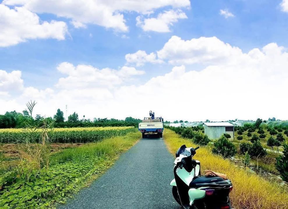 Đất chính chủ Tân Lược Vĩnh Long 1000m² giá 1.6 tỷ - Mặt tiền đường nhựa rộng rãi!