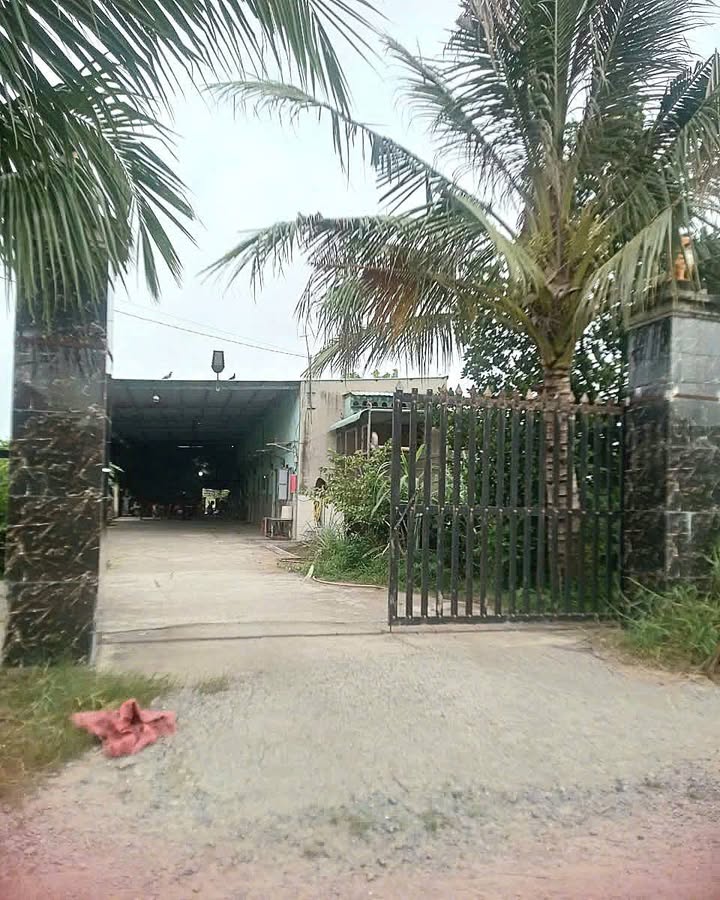 Đất nền chính chủ Đức Lập 560m² giá 4 tỷ - Đường ô tô, dân cư đông đúc!