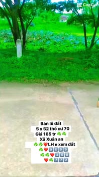 Đất thổ cư thôn An Thạch, xã Xuân An, 260m² giá 165 triệu - Cơ hội đầu tư hấp dẫn!