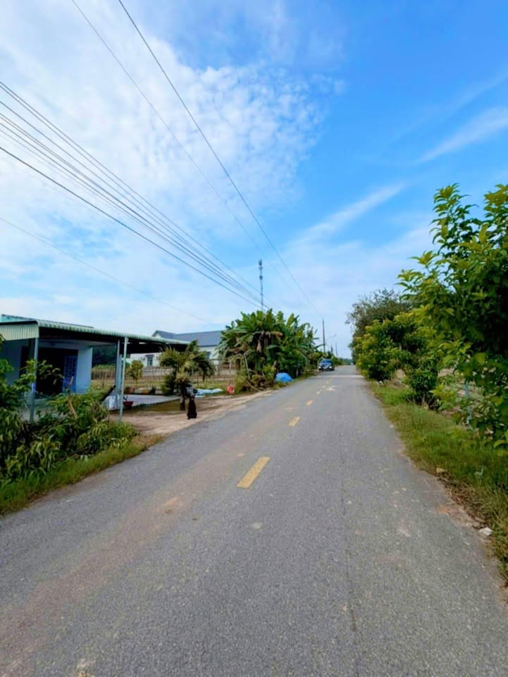 Đất nền Long Nguyên Bến Cát 310m² giá 1.2 tỷ - Cơ hội đầu tư tuyệt vời!