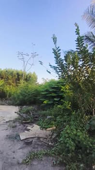 Đất nền Phước Hải, Đất Đỏ, Bà Rịa - Vũng Tàu 3725m² - Tiềm năng phát triển khu đô thị du lịch!