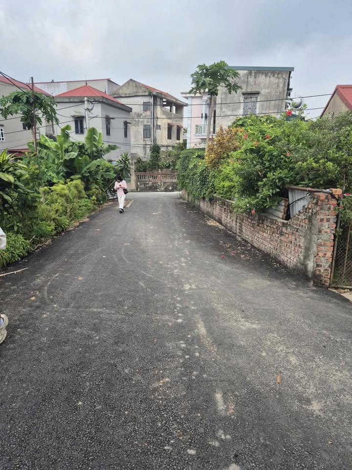 Đất nền Tự Thôn, Nam Sơn, Bắc Ninh 100m² giá 2 tỷ - Đầu tư sinh lời nhanh!