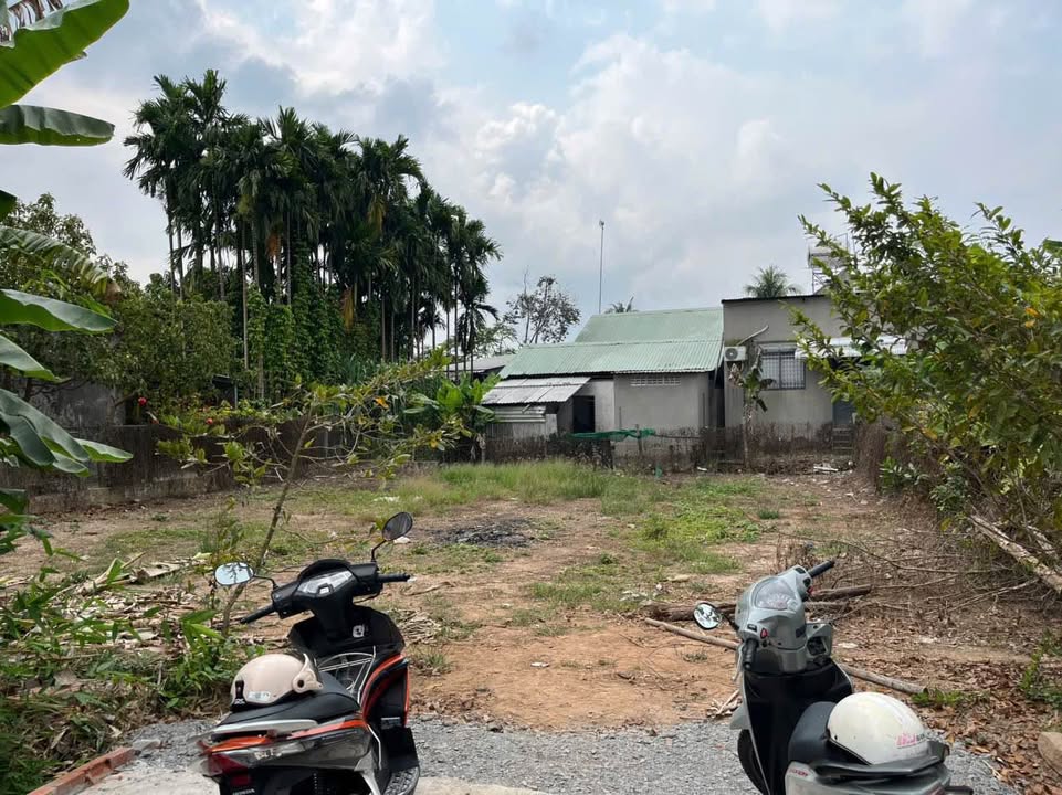 Đất nền Bình Thạnh, Lấp Vò 354m² giá 700 triệu - Cơ hội đầu tư tuyệt vời!