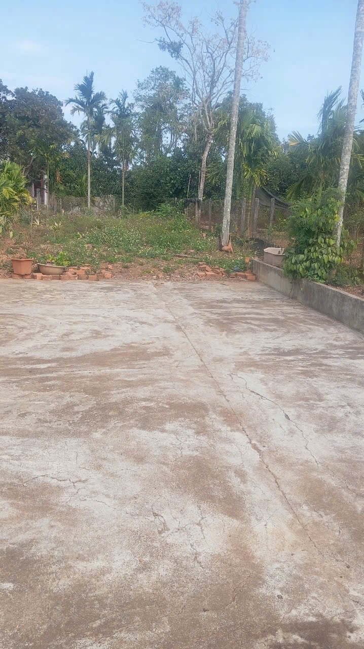 Đất nền Hòa Thắng Buôn Ma Thuột 217m² giá 1.29 tỷ - Phong thủy đẹp, đầu tư sinh lời!