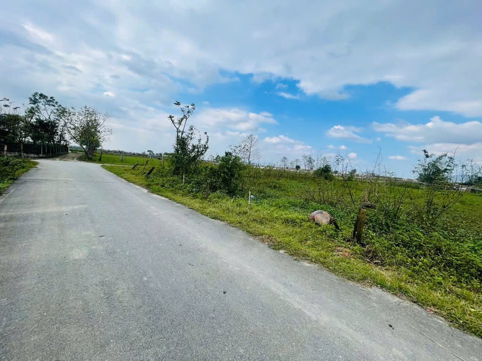 Đất nền Thúy Hội, Thạch Hưng 200m² giá 2 tỷ - Đầu tư sinh lời ngay!