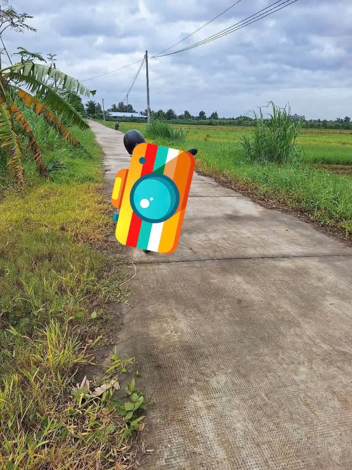 Đất ruộng 8 công An Bình Tây, Ba Tri giá chỉ 2.2 tỷ - Cơ hội đầu tư tuyệt vời!