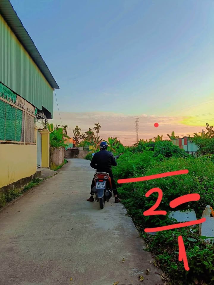 Đất thổ cư Chính Mỹ, Thủy Nguyên 65m² giá chỉ 500 triệu - Cơ hội đầu tư hấp dẫn!