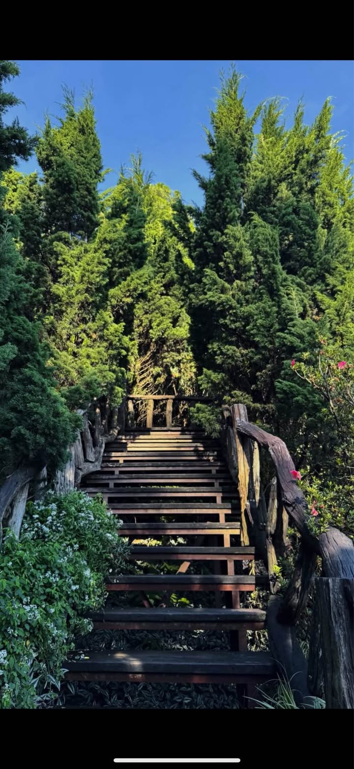 Nhà cho thuê đường Lưu Chí Hiếu, phường 10, Vũng Tàu - Giá 2.5 triệu/tháng